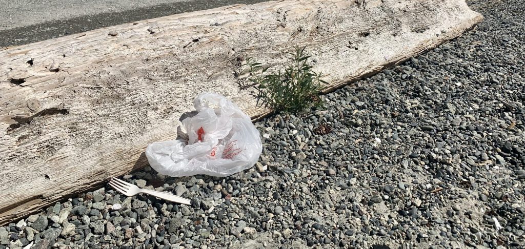 Sidney’s Single-Use Plastics Bylaw