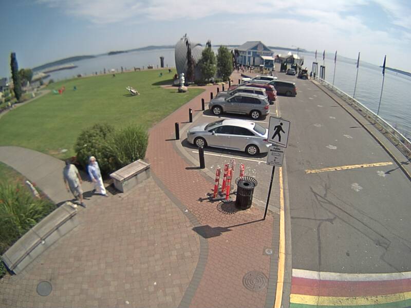 Waterfront Camera