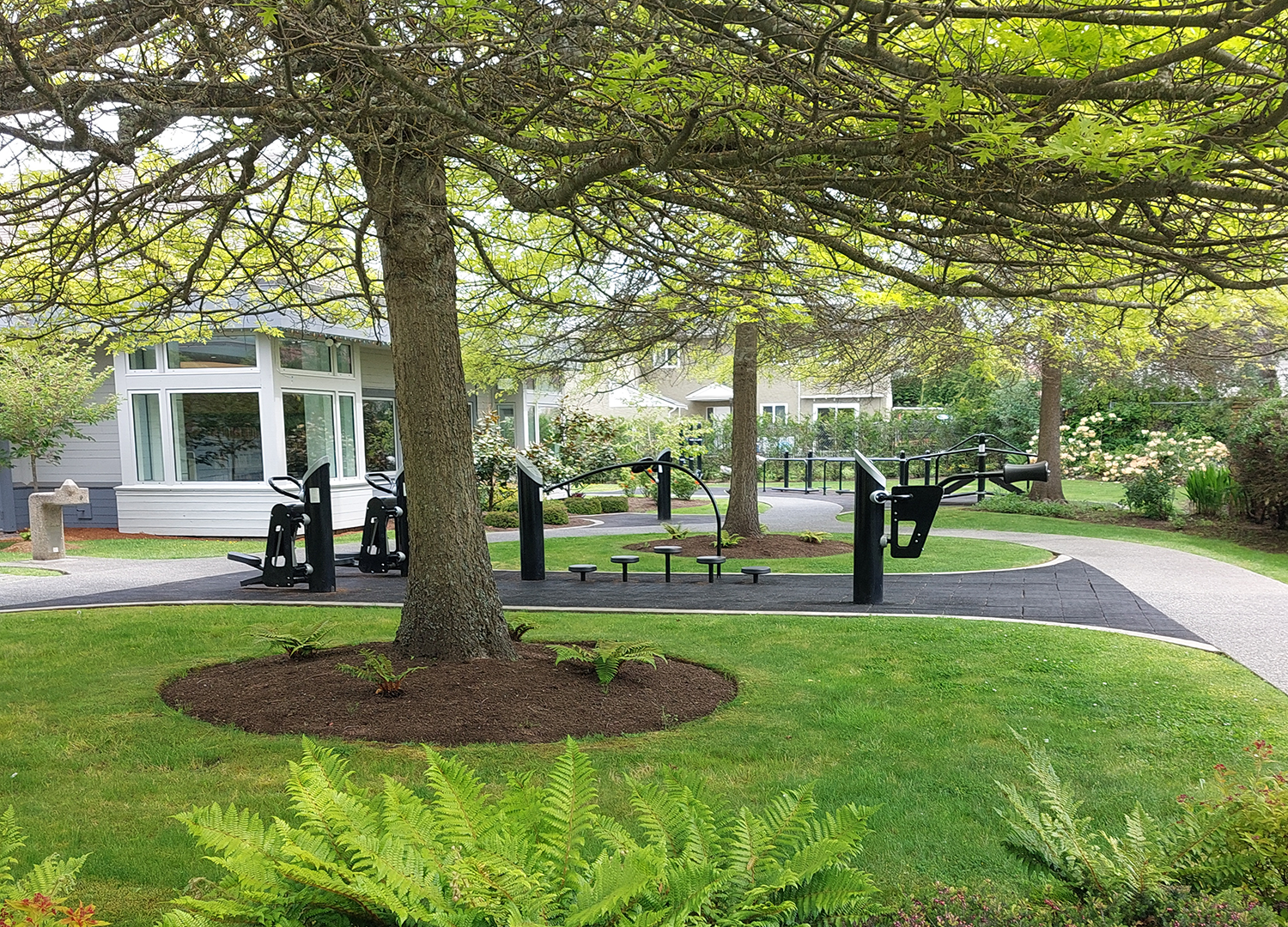 Image of the Community Wellness Park with ferns and a leaf tree in the foreground and outdoor exercise equipment, a water fountain, and the library building in the background