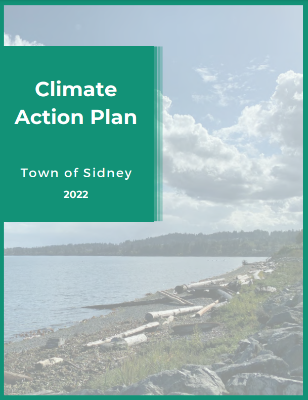 Climate Action Plan Report Image