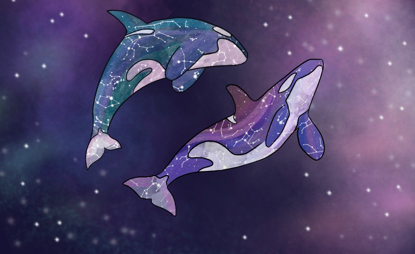  Constellation Orcas. Jenna Falk
