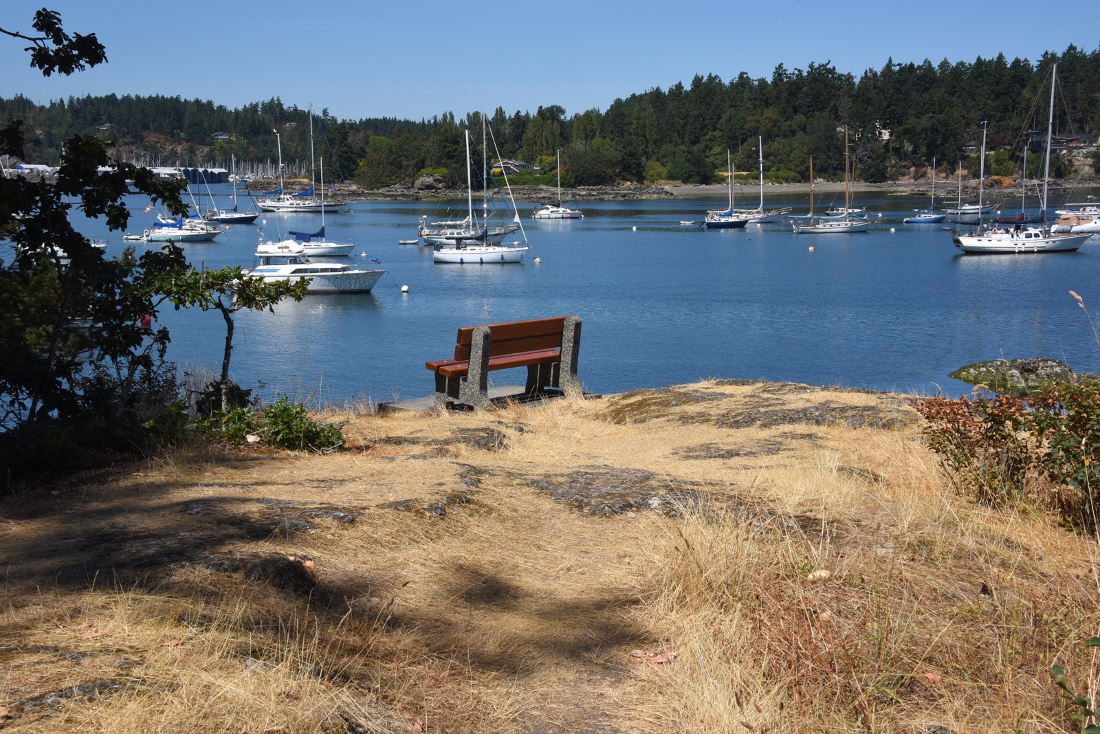  Resthaven Linear Park Bench with a View 