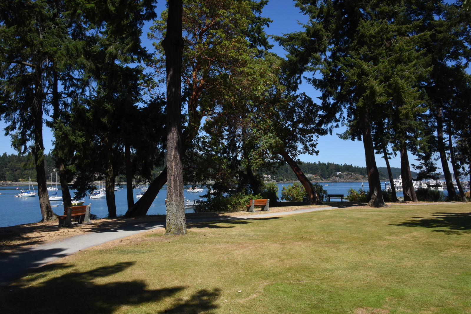  Resthaven Linear Park Pathway and Benches 