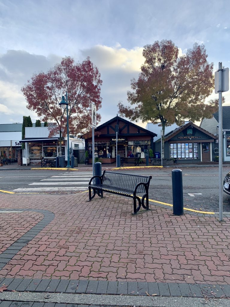 Beacon Avenue shops with fall leaves