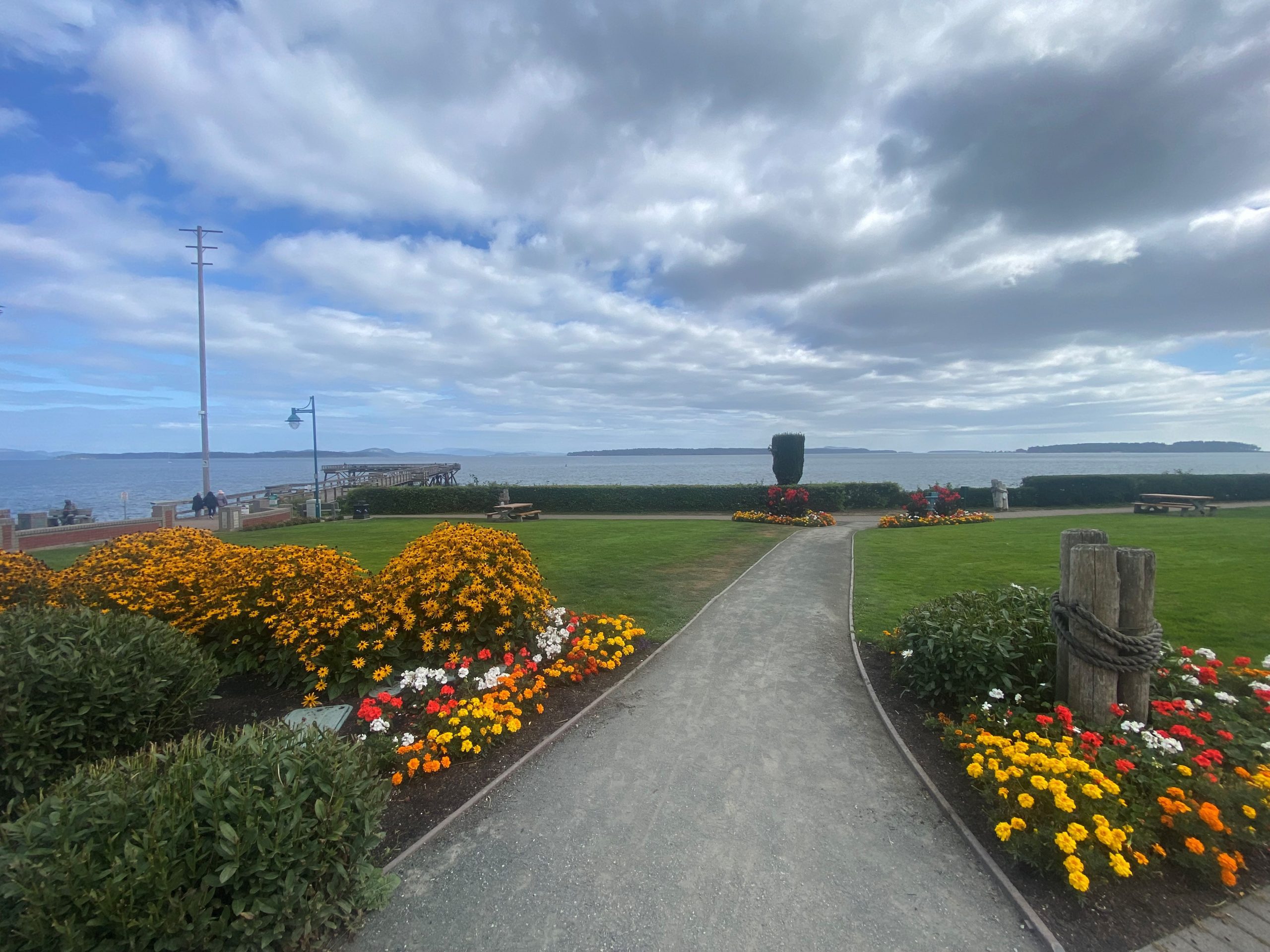  Flowers along pathway in Eastview Park 