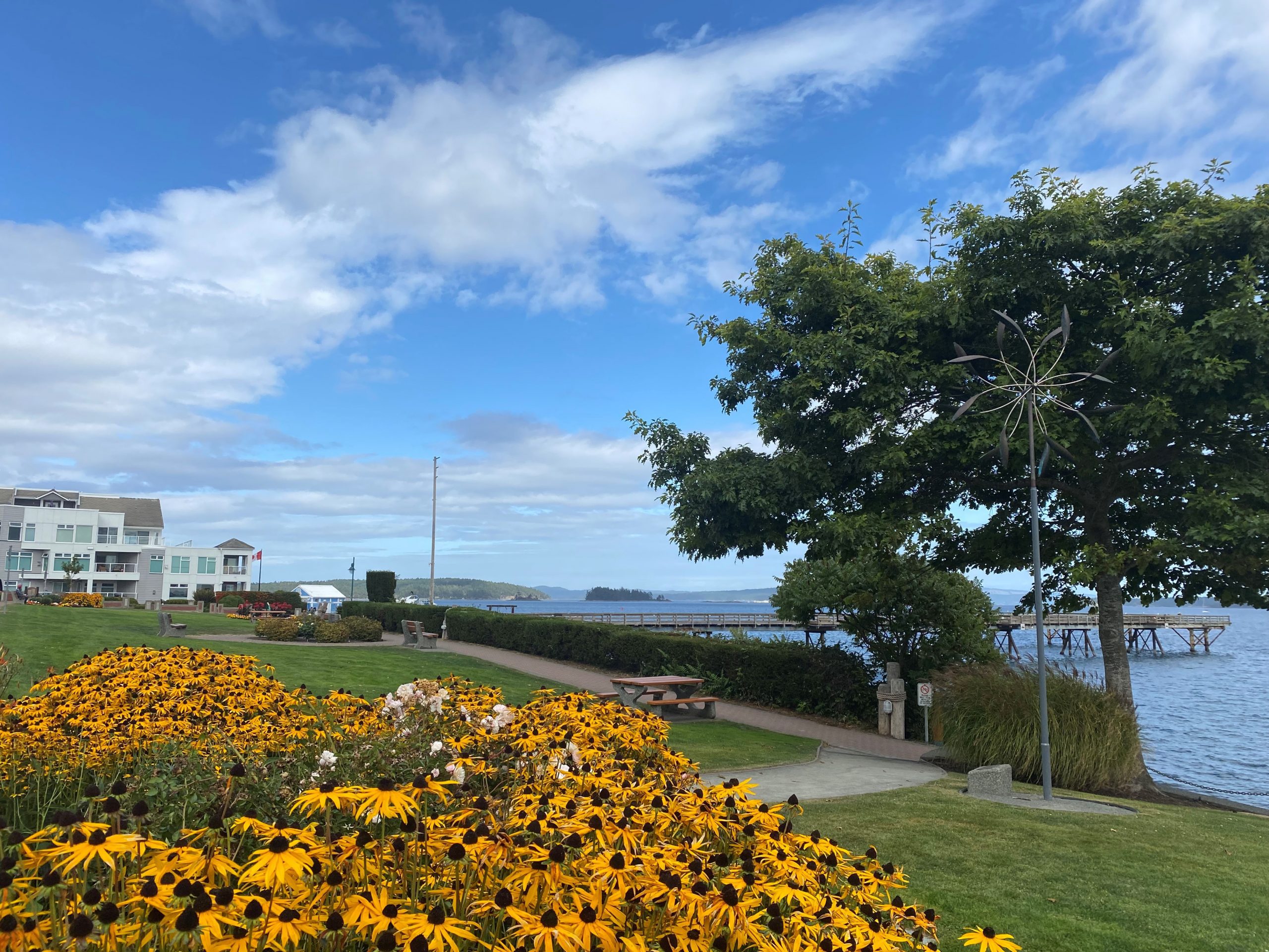 Image of yellow flowers in Eastview Park, in front of a picnic table and pathway, with the Bevan Fishing Pier in the background