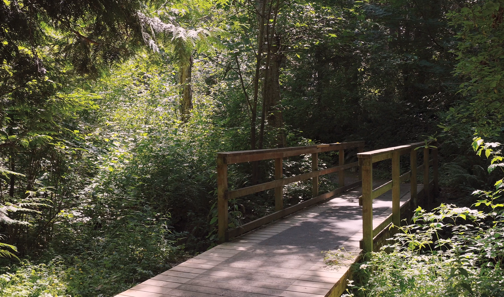  Reay Creek Park Forest and Bridge 