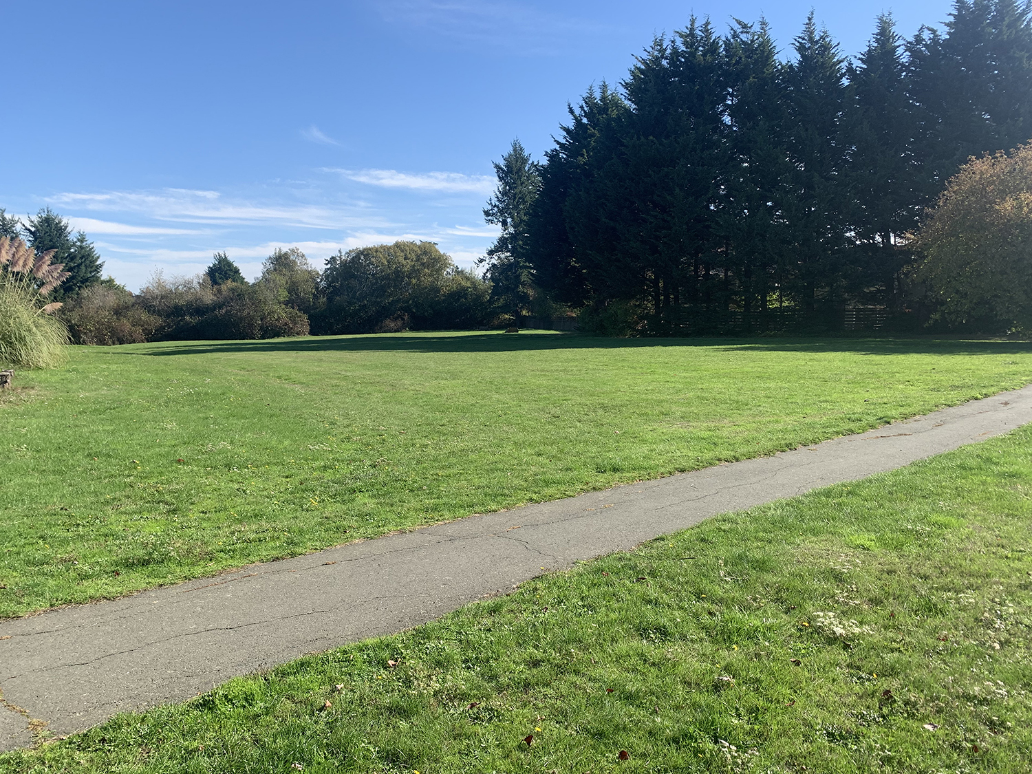  Rathdown Park Field and Pathway 