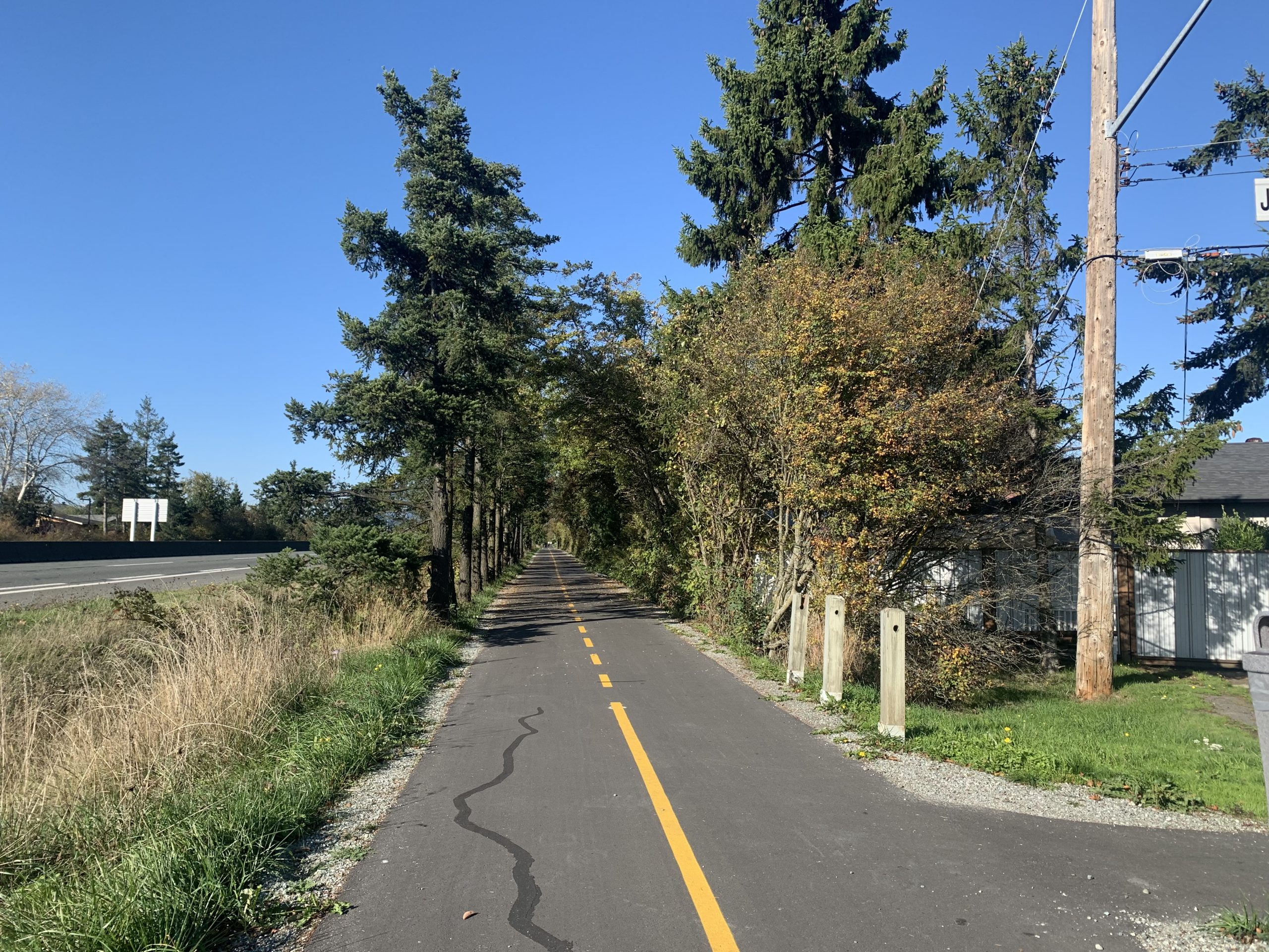 Treed section of Lochside Trail