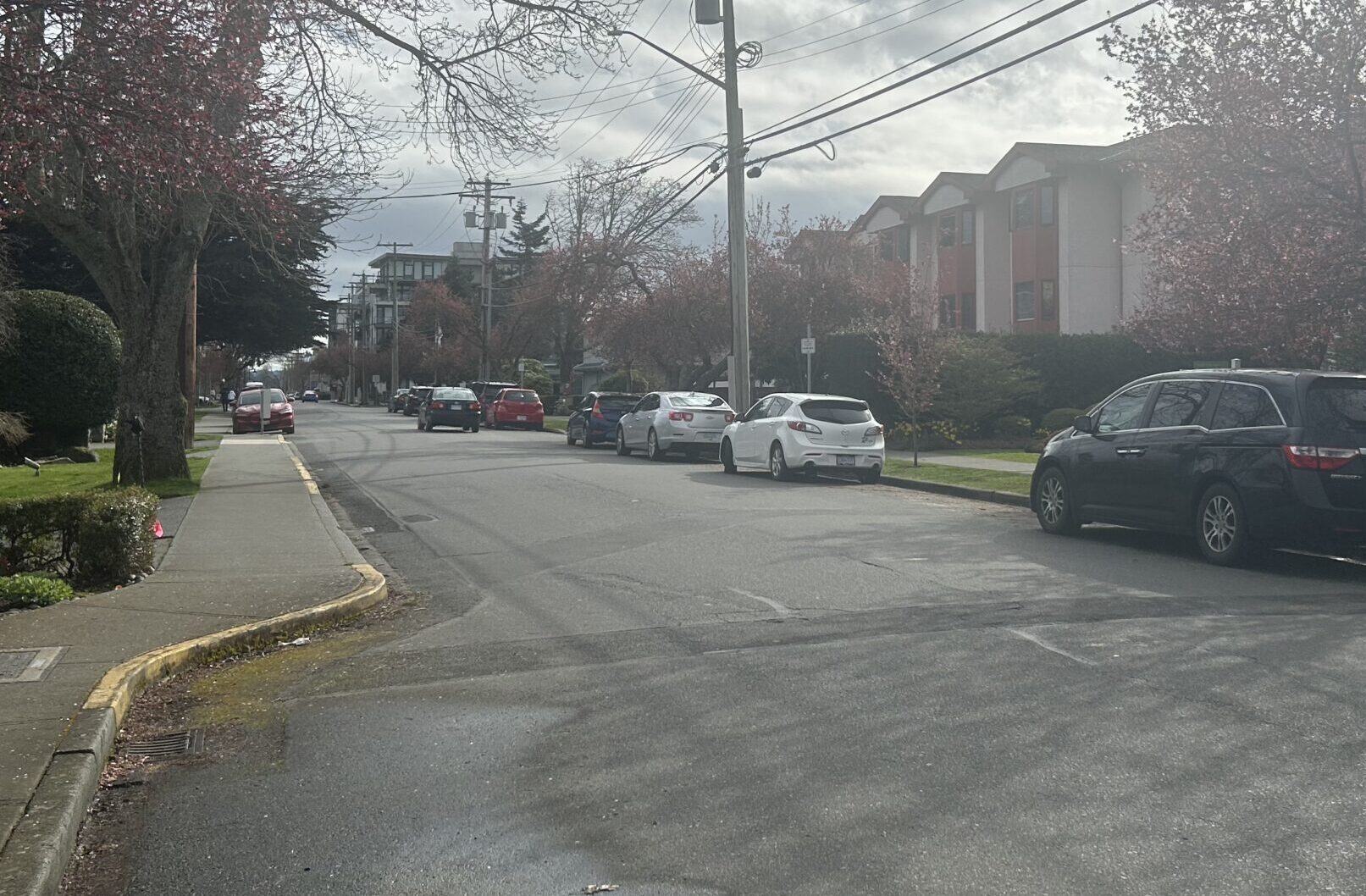 Looking south on Third Street near Mt Baker.