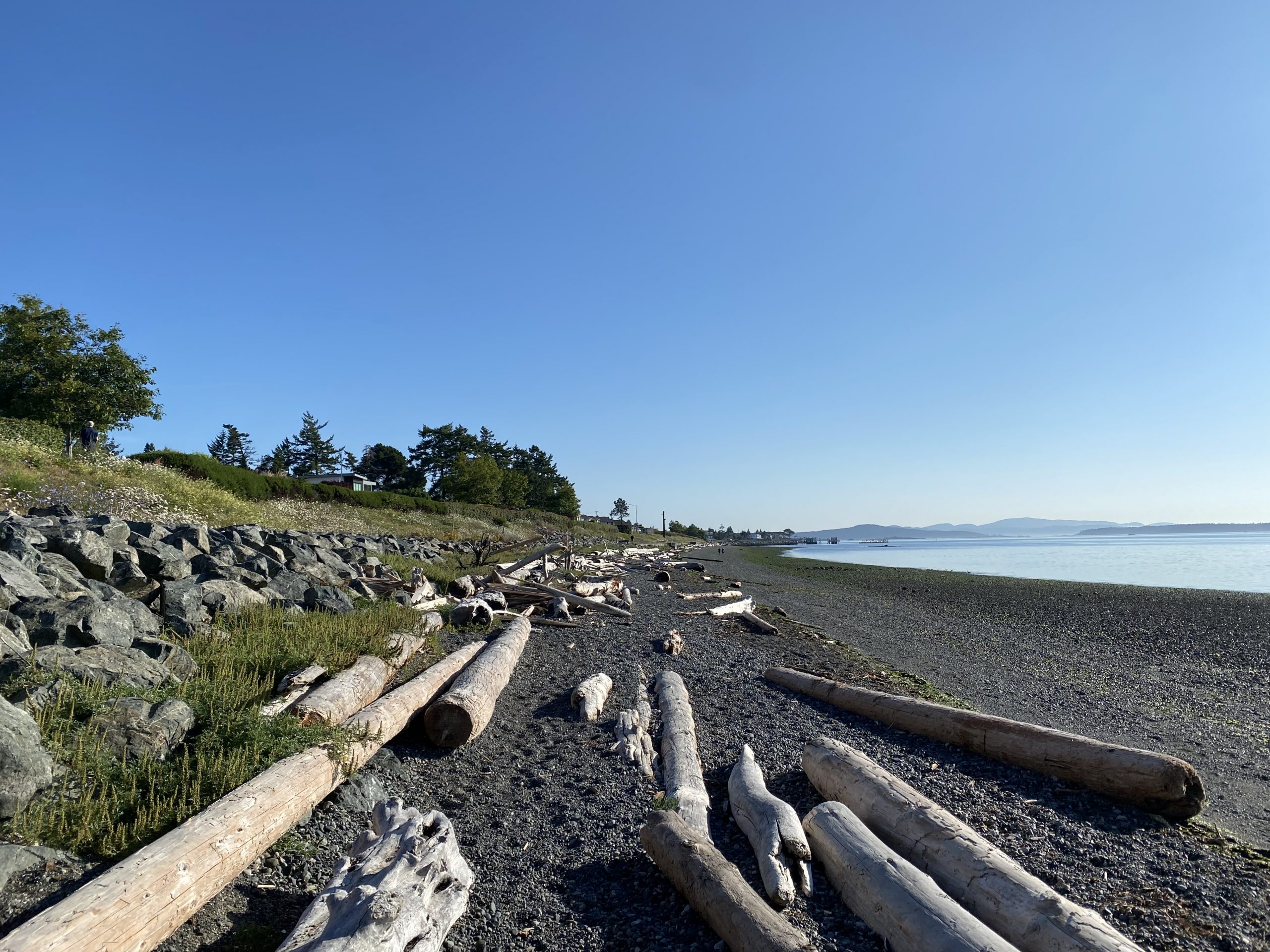 Lochside Park Beach View 