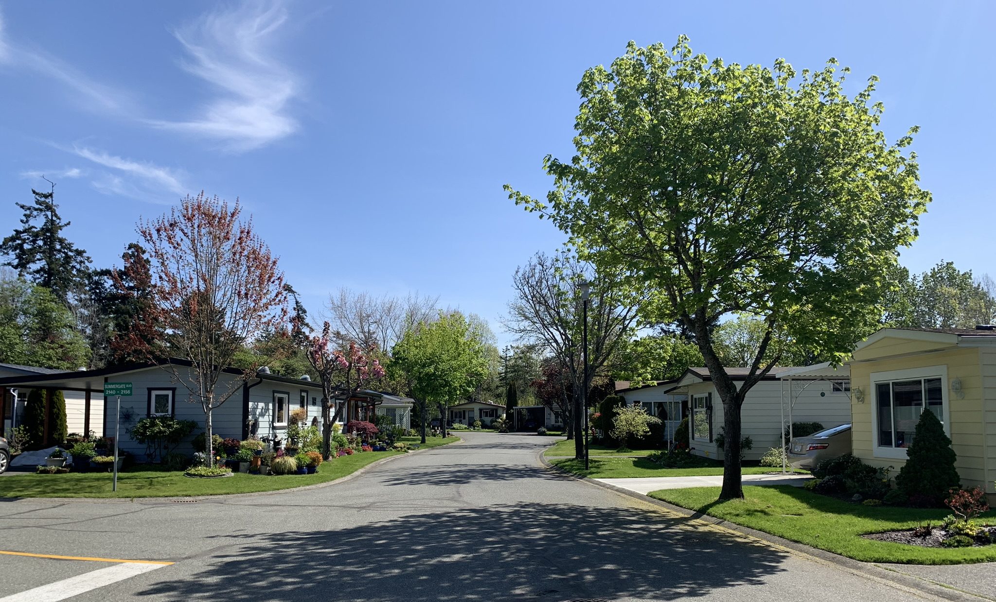 Image of a tree-lined street on a sunny blue-sky day in Summergate Villate