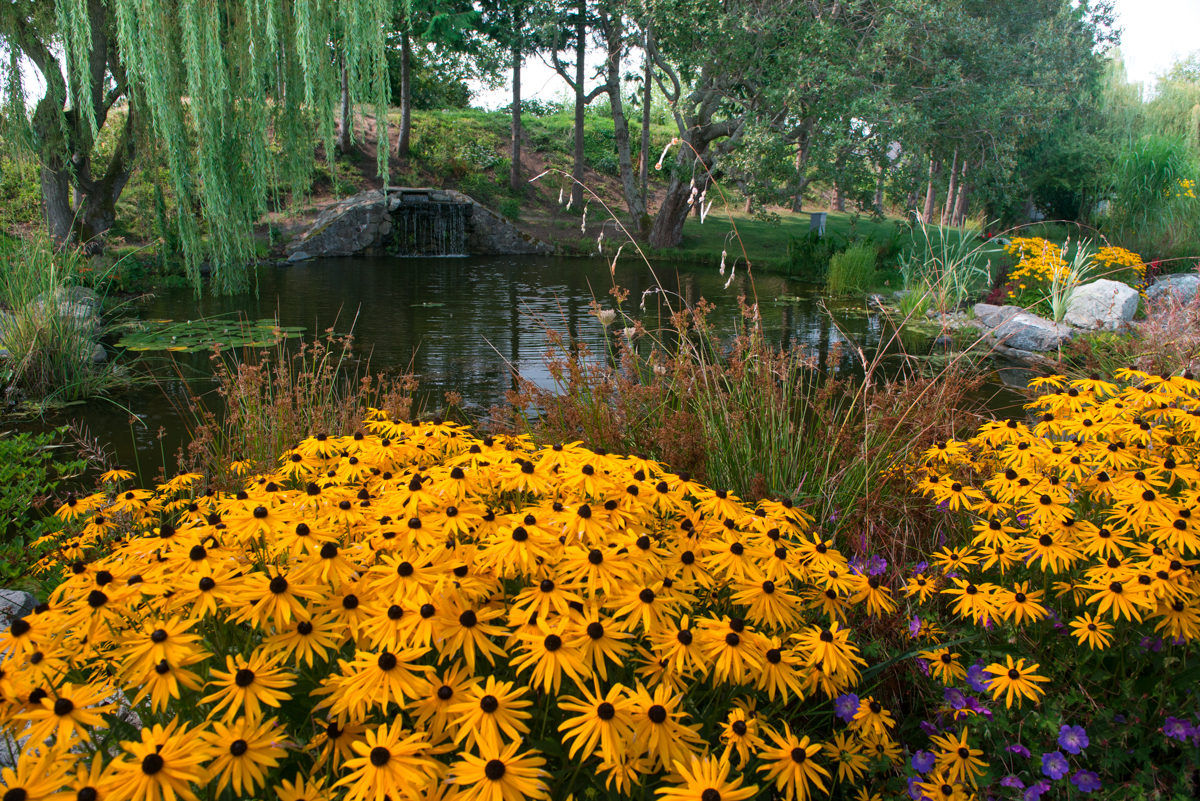  Iroquois Park Duck Pond 