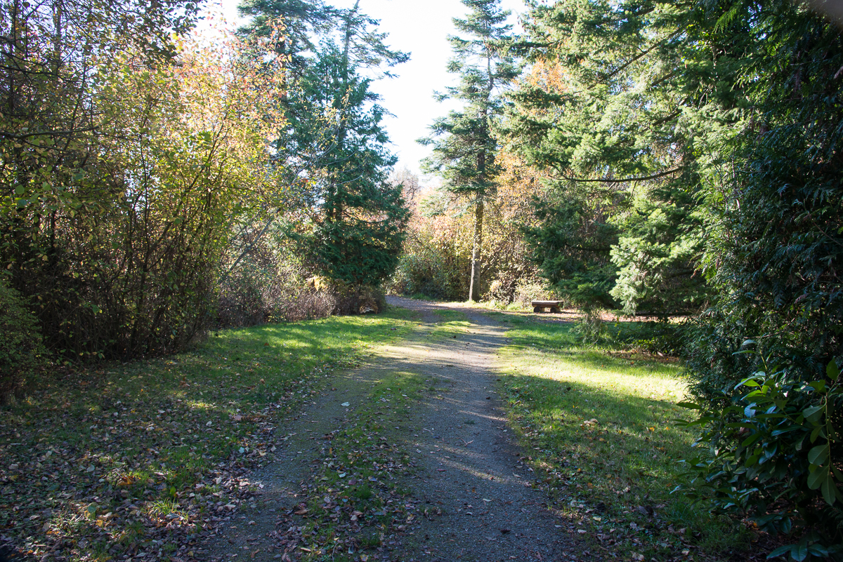  Peter Grant Park Treed Pathway 