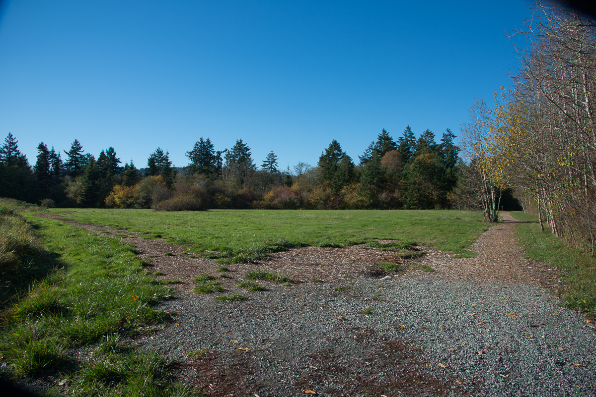  Peter Grant Park Field 