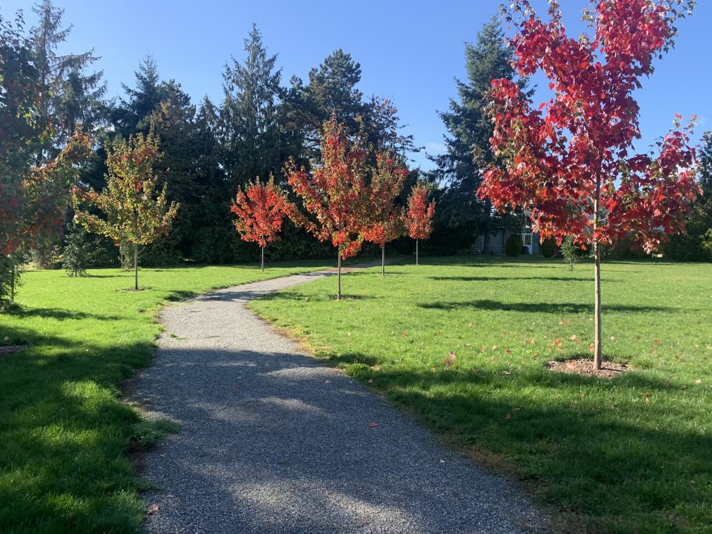 Melville Park Pathway with Trees