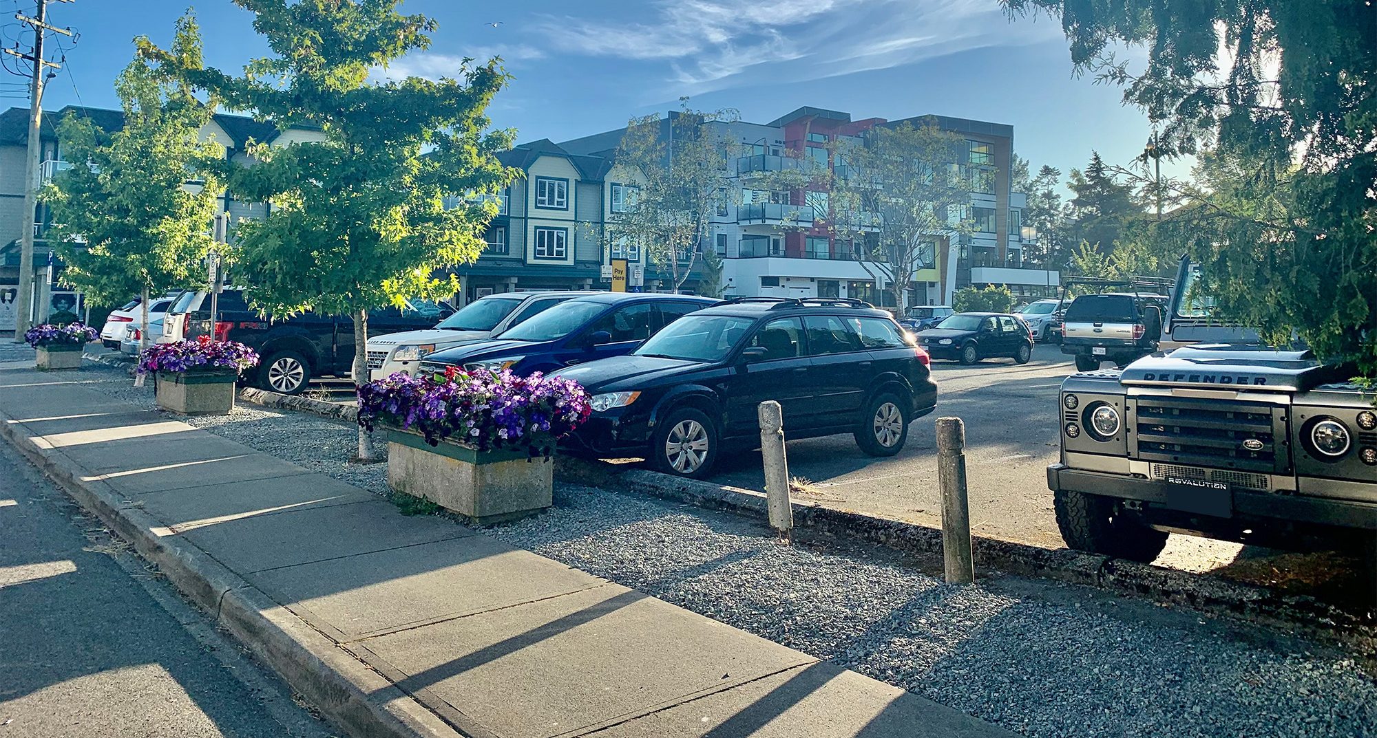 Photo of a variety of vehicles parked in Parking Lot A, with three planters full of purple flowers and a sidewalk running alongside the lot