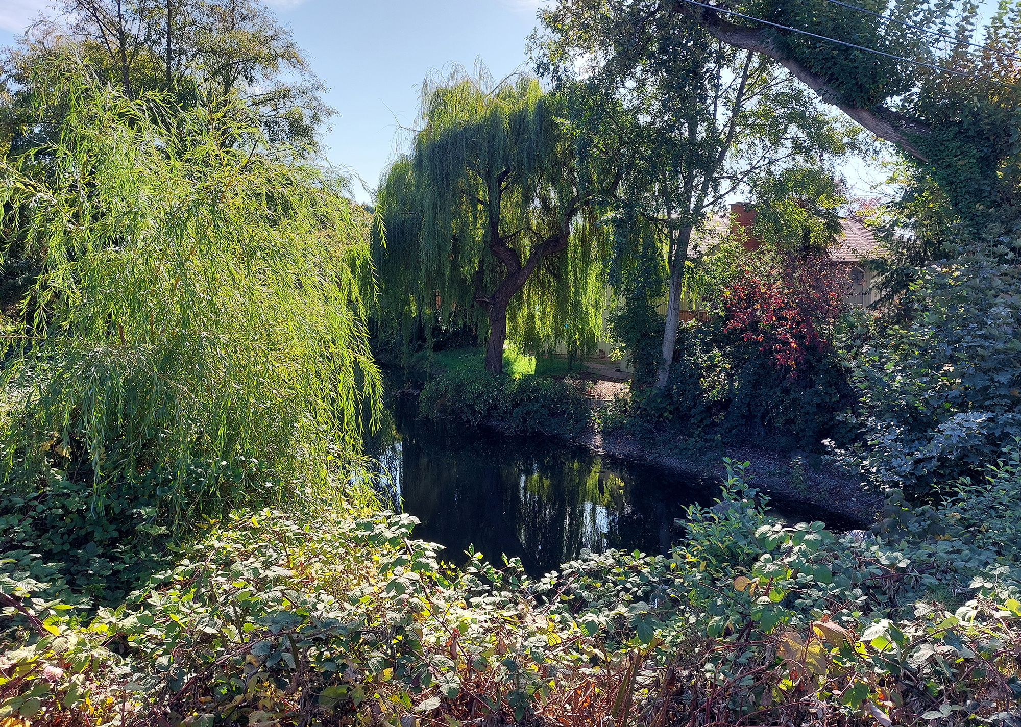  Reay Creek Pond 