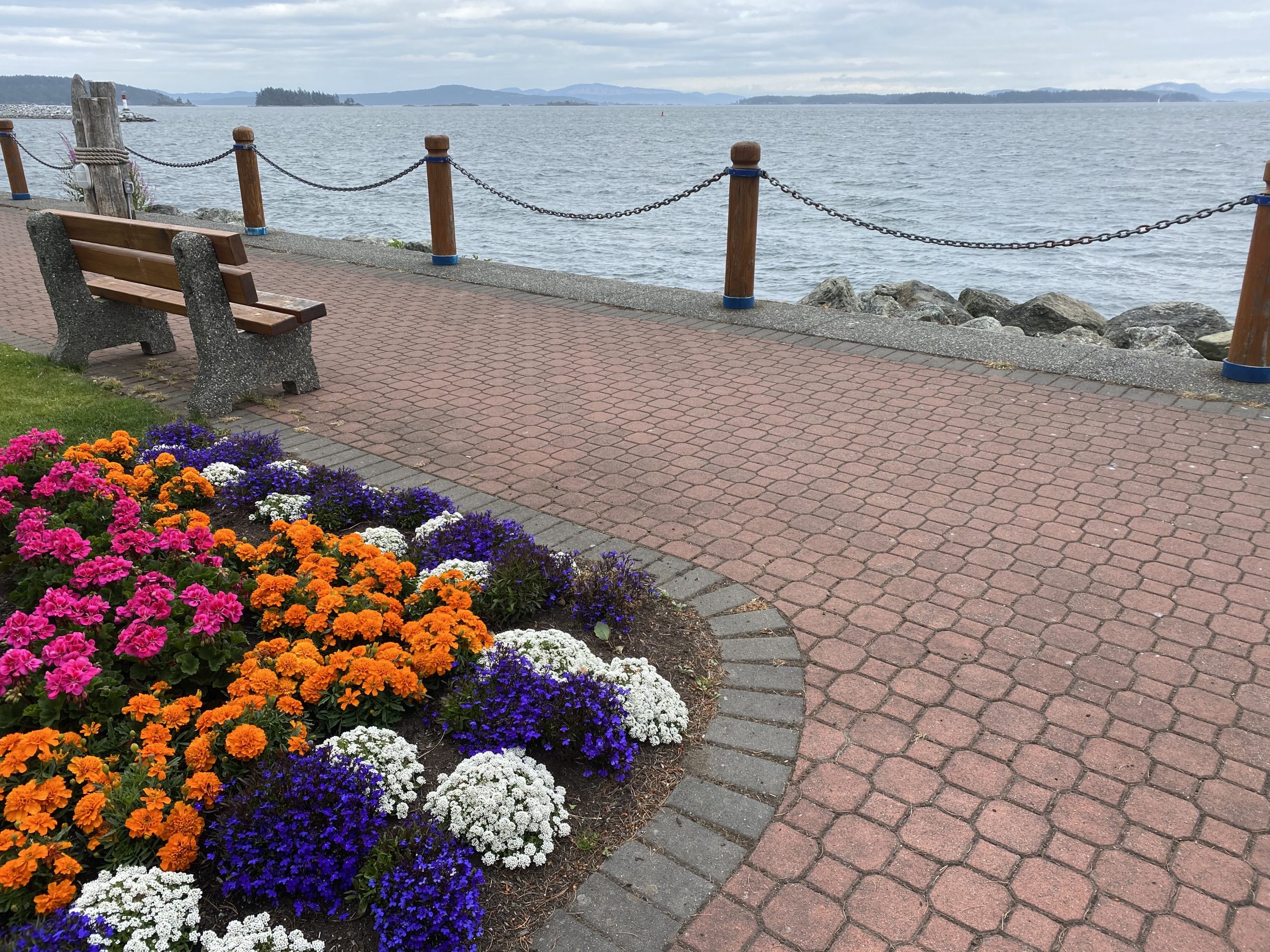  Seaport Park Bench and View 