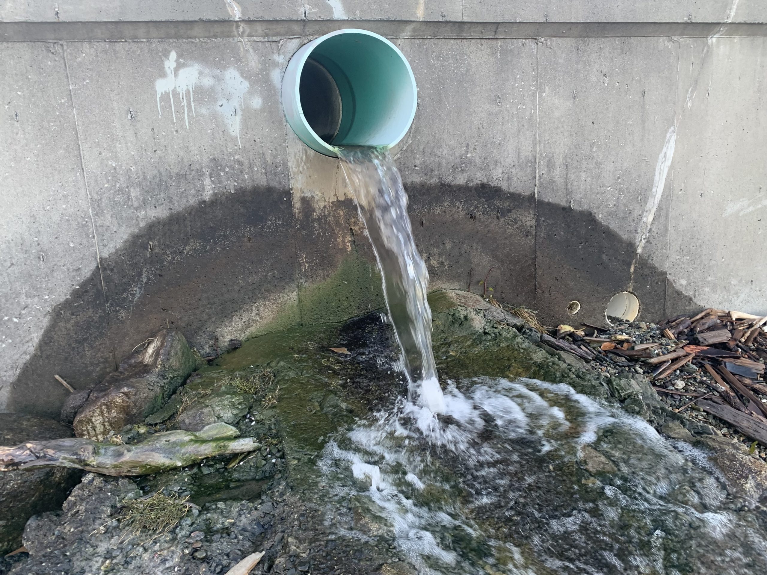 Water running out of storm drain