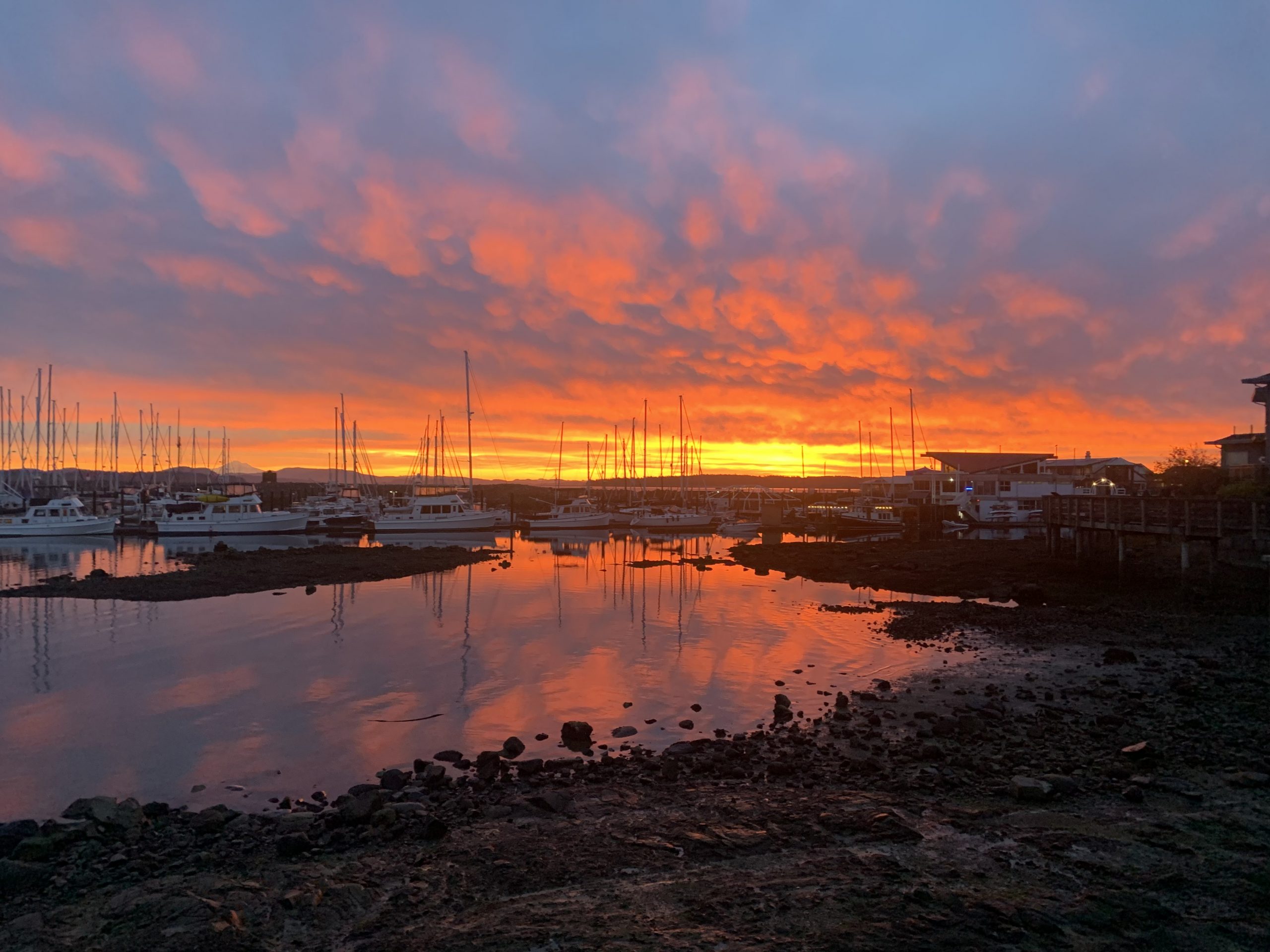 Sunrise near Sidney Harbour, waterfront walkway at Henry Ave access point