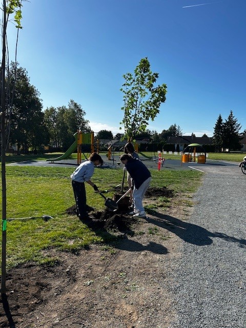 Tree Appreciation Day 2024. Brethour6