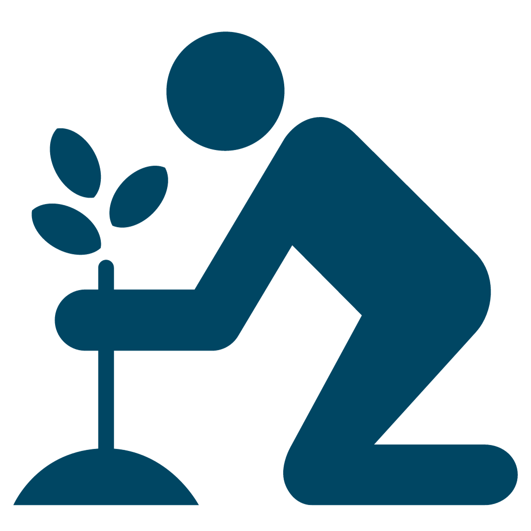 Icon. Person planting a tree