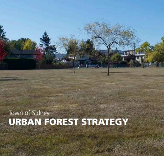 Cover image of the Town's Urban Forest Strategy with an image of two trees in standing in a field with a playground in the background