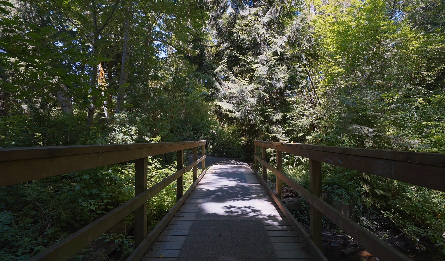  Reay Creek Park Bridge View 