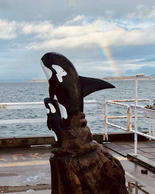A wooden sculpture of two orcas breaching sits on the wharf, with the Salish Sea in the background. A rainbow is visible, seemingly coming out of an island in the background. The sky is blue and cloudy, the water is a little choppy, and the wharf is wet. It was stormy, but now the sun has come.