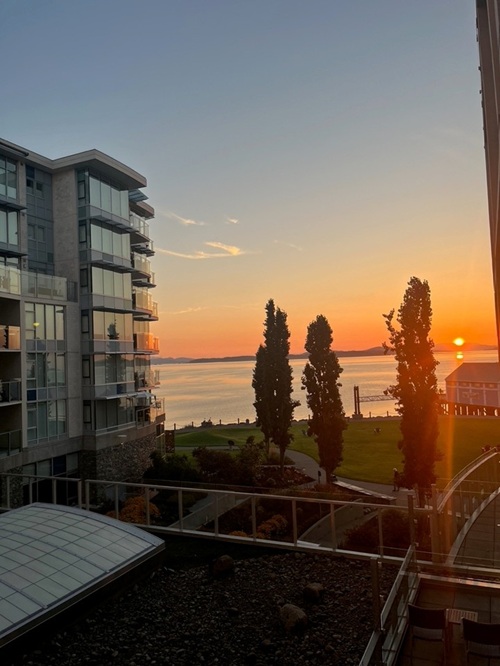 An orange sun peeks over the horizon, reflecting on the water. The sky fades from orange to blue, and in the foreground is a fish market on a wharf, with orange-looking water beneath it. A six storey building of mostly windows and balconies reflects the colours of the sky, overlooking the dark park and trees below.