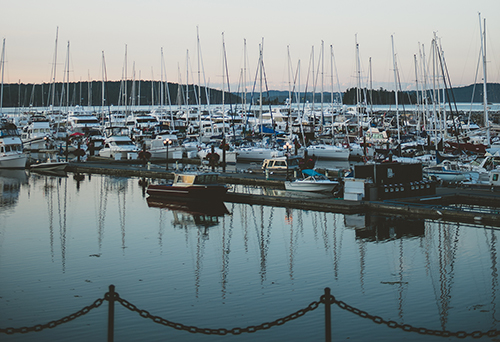 A serene marina at sunrise, full of moored sailboats. Some of the boats are reflected in the calm water.