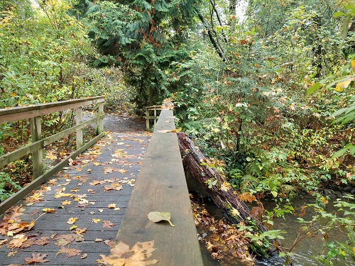 A wooden bridge with some fallen leaves on it leads to a gravel path in a wooded area. There is a creek below the bridge, and lush green fauna on the banks.