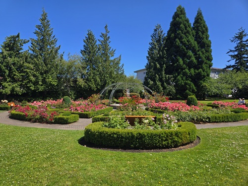 The Rose Garden with rows of pink and red roses, surrounded by grass.
