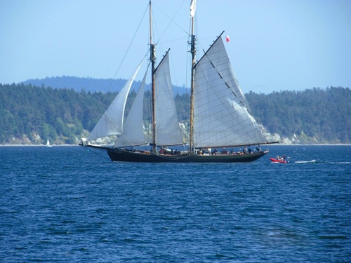 A large sailboat with four sails and two masts in the water. A small red motorboat is following it. The hilly, tree covered Gulf Islands are in the background.
