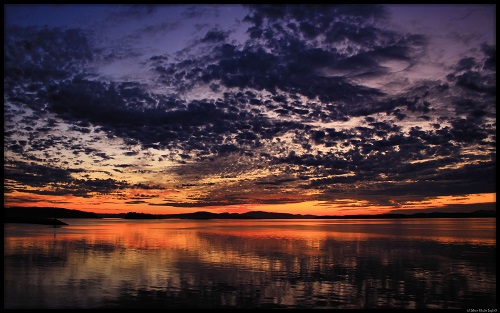 Web - Speckled Sunrise