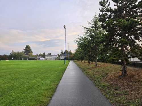 A paved pathway, dark with recent rain, leads straight ahead between a green field on the left and evergreen trees on the right.