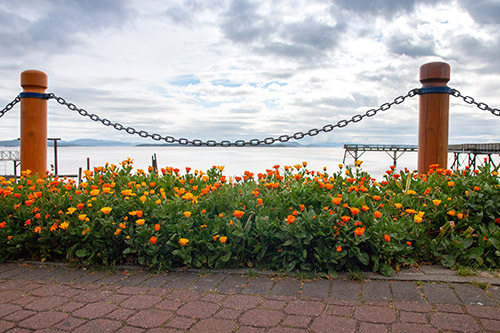 Flowers in varying shades of orange line the paver stone path, flanked by wooden bollards, overlooking the Salish Sea and a textured cloudy sky.