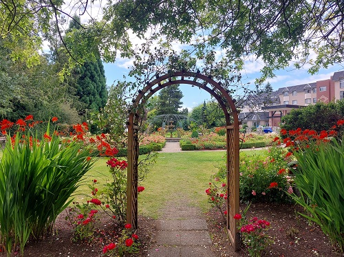 A wooden arbour is centered above a stone path that fades into the grass, Centered behind in the distance is a two tiered fountain which marks the middle of the rose garden at the library. There are tall red flowers beside the arbour, and a canopy of green leaves hanging down from the trees above it.
