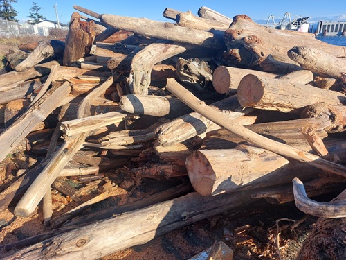 A large pile of driftwood logs on the beach.