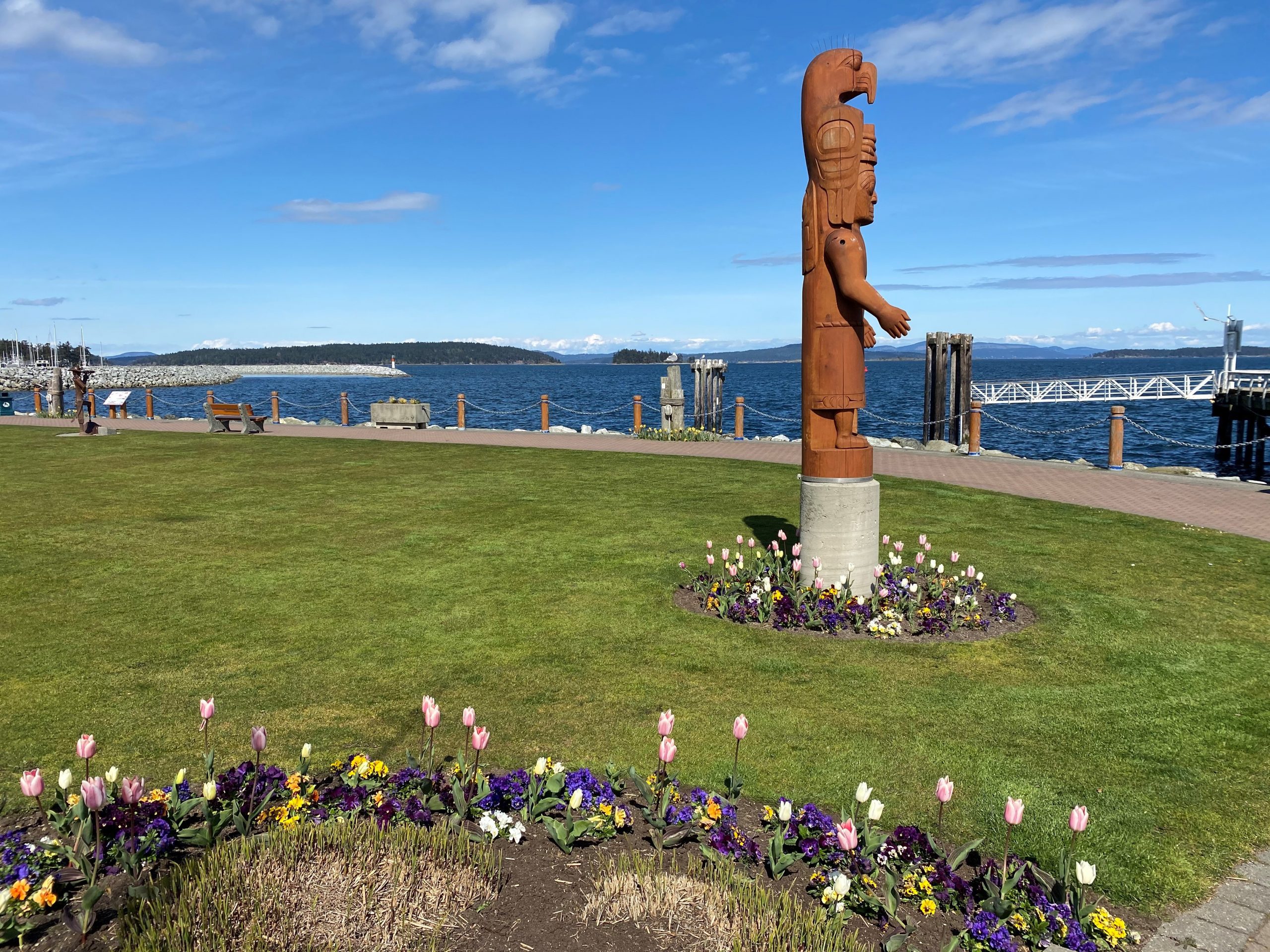 Image of pink and white tulips surrounding a carved wooden Welcome Figure, with the waterfront walkway and a blue sky and blue Salish Sea in the background