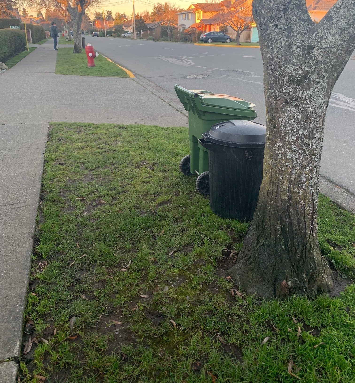 Garbage cans on Third Street