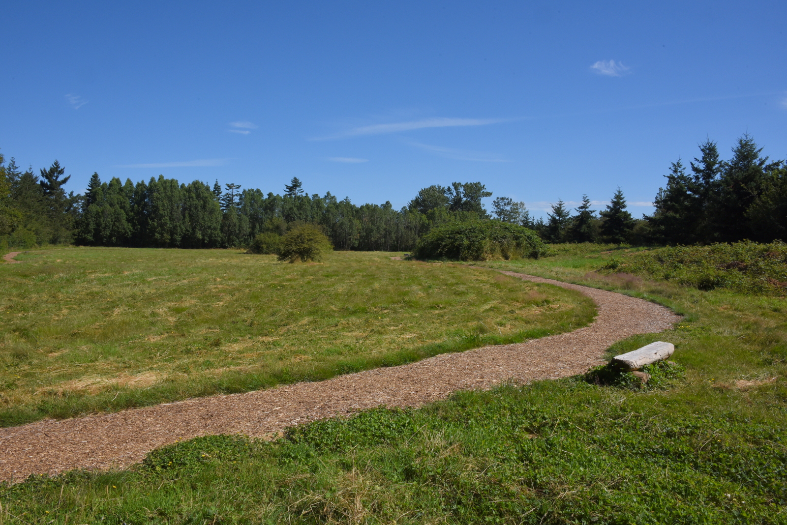  Peter Grant Park with Pathway and Bench 
