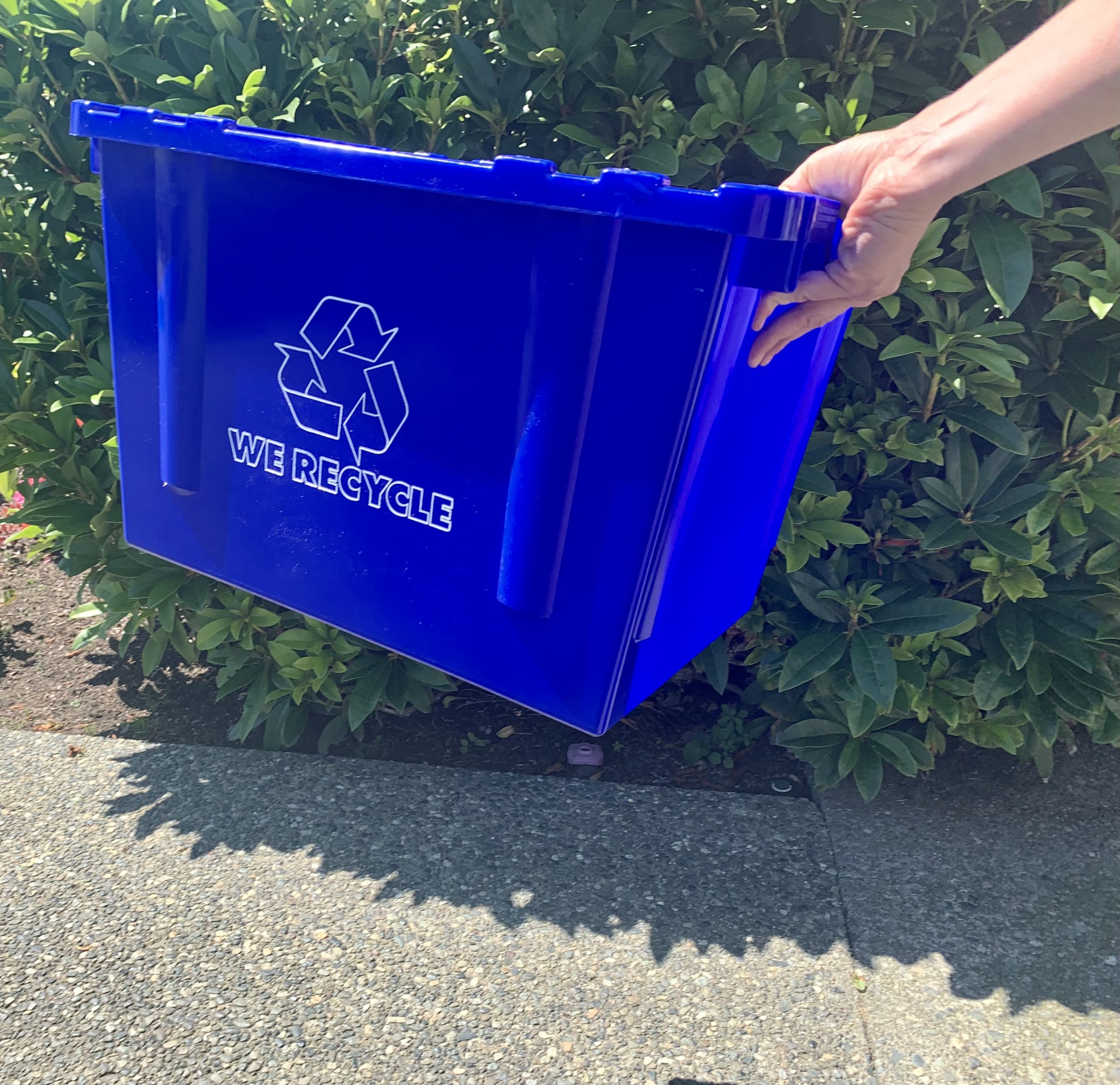 Hand holding a blue recycling bin